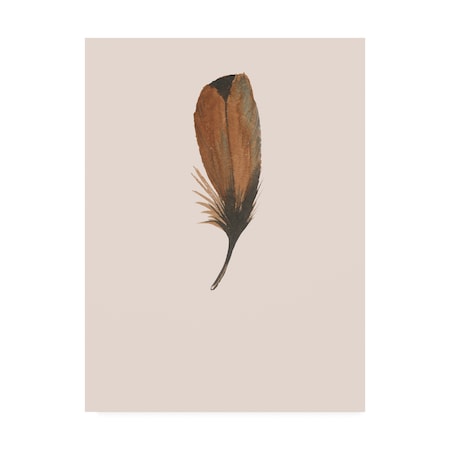 Incado 'Feather 08' Canvas Art,14x19